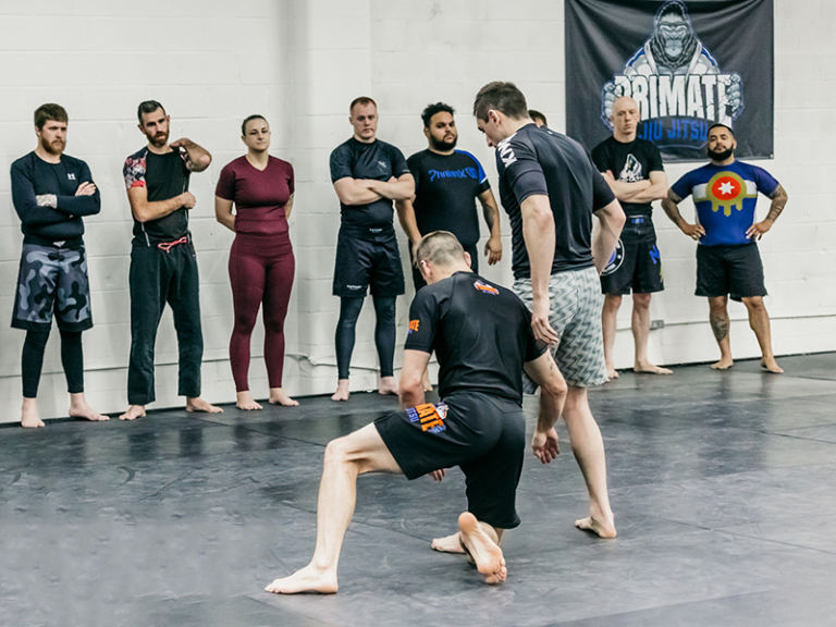 Primate Jiu Jitsu Academy logo