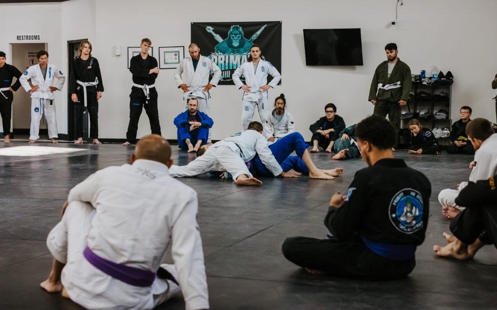 primate coaching Gi_-89 2
